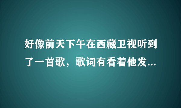 好像前天下午在西藏卫视听到了一首歌，歌词有看着他发呆，偷偷的爱，求歌名，是一女生唱的。