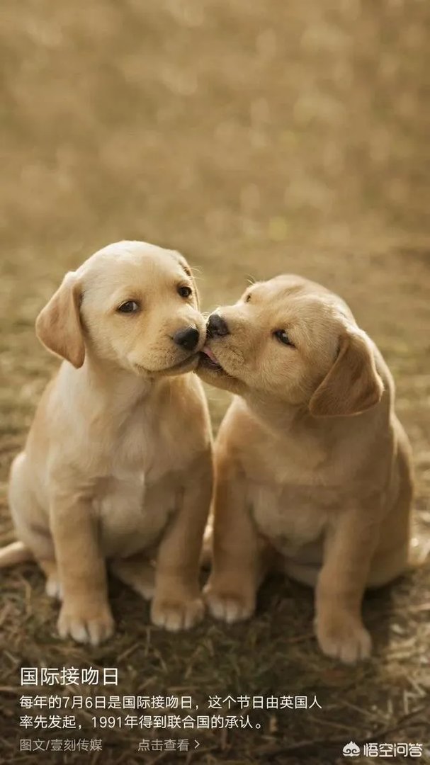 婚姻是恋爱的什么