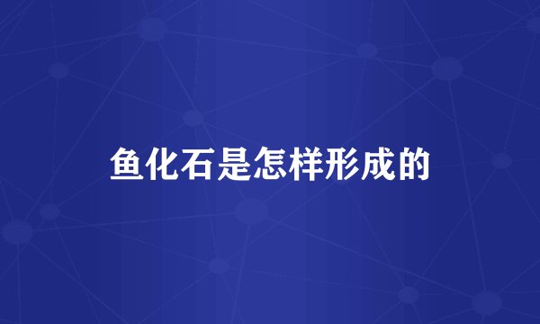 鱼化石是怎样形成的