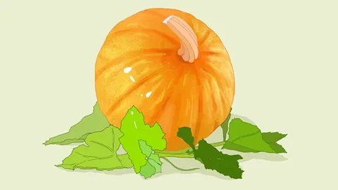 春天喝什么汤最好