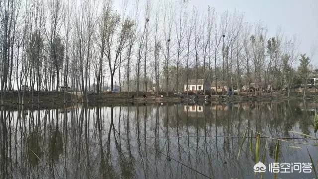 哪里有比较幽静的钓鱼的地方？