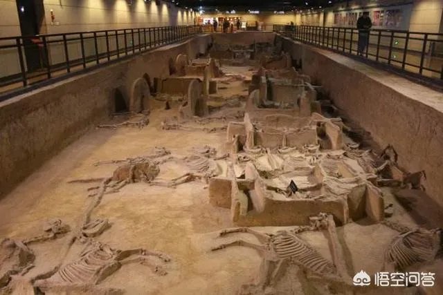 洛阳有多少文化场所