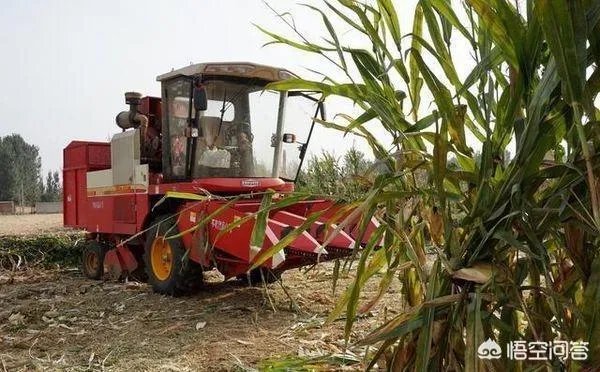 玉米收割机扒皮不净怎么办？