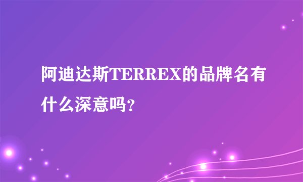 阿迪达斯TERREX的品牌名有什么深意吗？