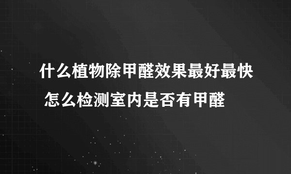 什么植物除甲醛效果最好最快 怎么检测室内是否有甲醛