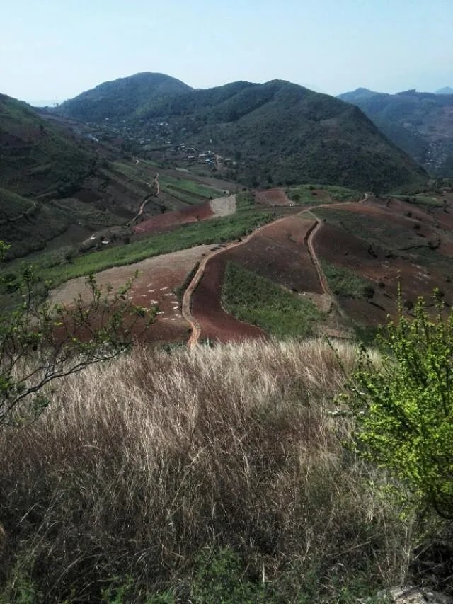 农业好项目如何找投资？