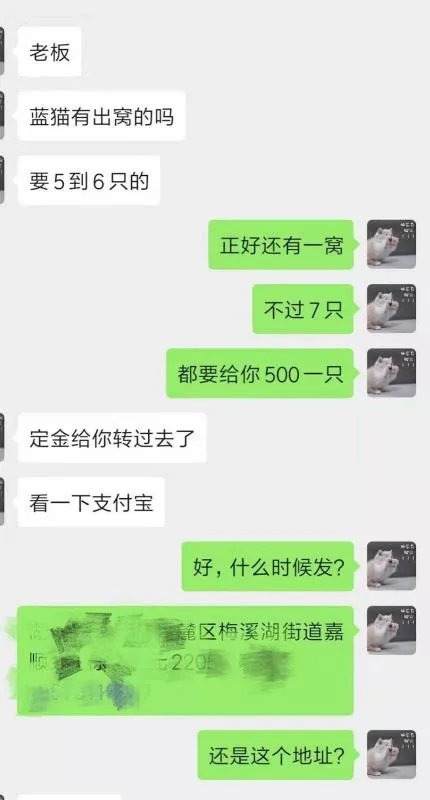 宠物用品货源在哪儿找