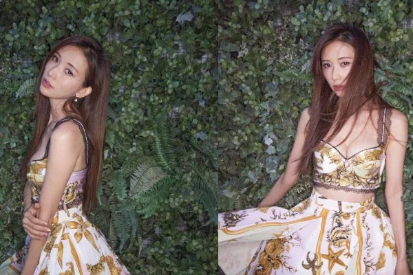 小S为什么经常骂林志玲，她们是有什么过节吗？