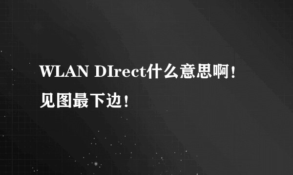 WLAN DIrect什么意思啊！见图最下边！