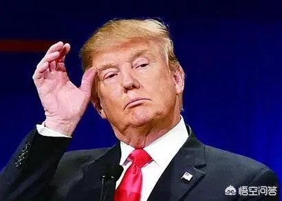 如何看待特朗普人到了巴黎却拒绝出席巴黎国际和平论坛？