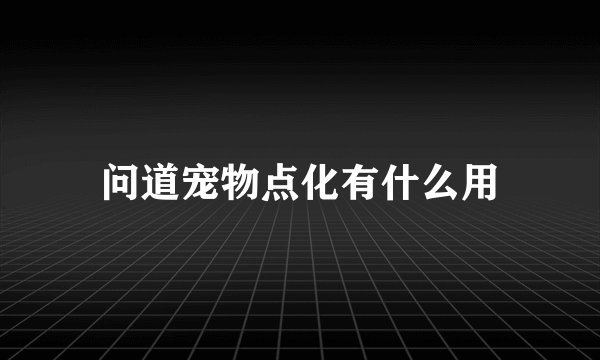 问道宠物点化有什么用