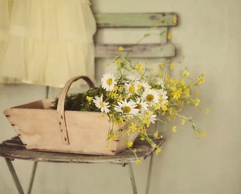 桌面壁纸，欧美风的。要的简单点的，不要非主流的！！！