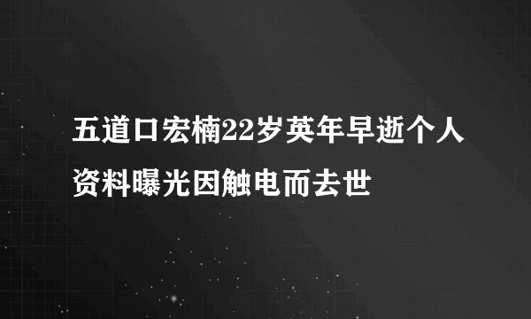 五道口宏楠22岁英年早逝个人资料曝光因触电而去世