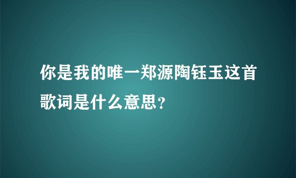 你是我的唯一郑源陶钰玉这首歌词是什么意思？