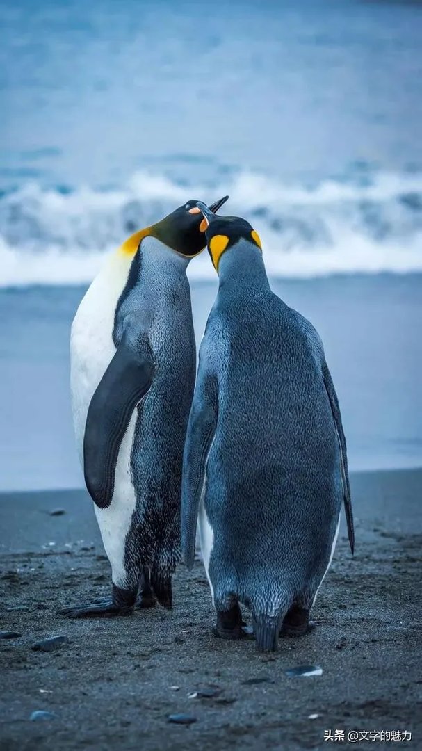 6月30日黄轩承认恋情，你有什么想说的？