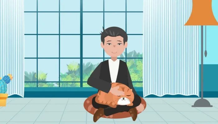 为什么猫咪能像液体 猫咪的年龄是怎么算的