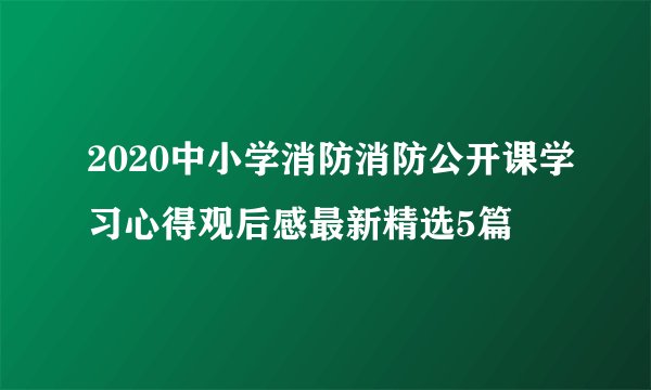 2020中小学消防消防公开课学习心得观后感最新精选5篇