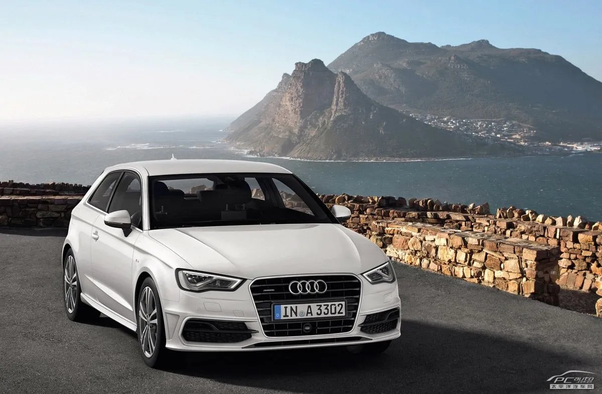 奥迪门事件的专家观点