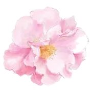 qq炫舞自定义情侣戒指透明图案