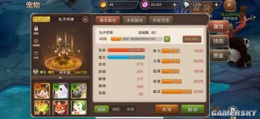 魔力宝贝手游虎头蜂值得练吗 虎头蜂加点推荐