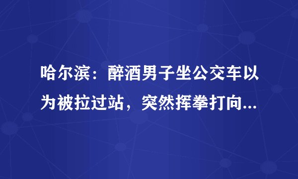 哈尔滨：醉酒男子坐公交车以为被拉过站，突然挥拳打向司机，获刑6年, 你怎么看？