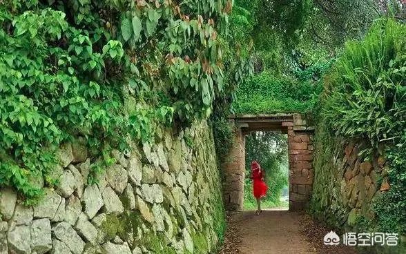 福鼎老街好玩吗?