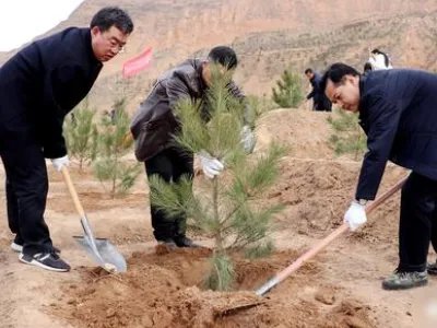 你还知道哪些古代名人植树绿化的故事? 请简要写一写。