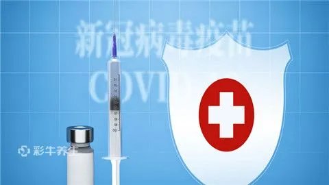 新冠的症状有哪些症状早期