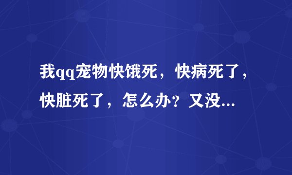 我qq宠物快饿死，快病死了，快脏死了，怎么办？又没有元宝！帮帮忙。~-~55555