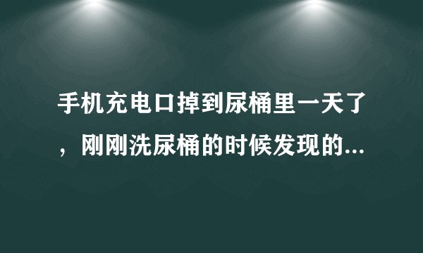 手机充电口掉到尿桶里一天了，刚刚洗尿桶的时候发现的，现在该怎么办？