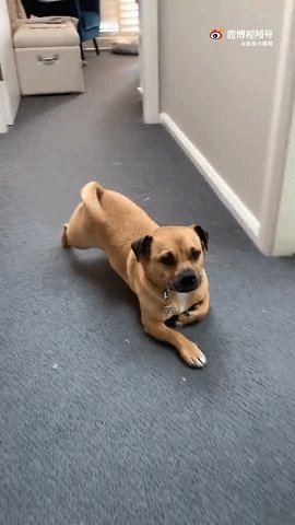 国足出线概率仅为0.01% 只求有好球的动态图