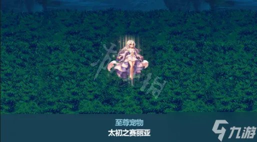 《地下城与勇士》春节套宠物属性一览 春节套宠物属性介绍