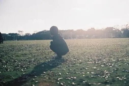 为什么养宠物费用比人贵