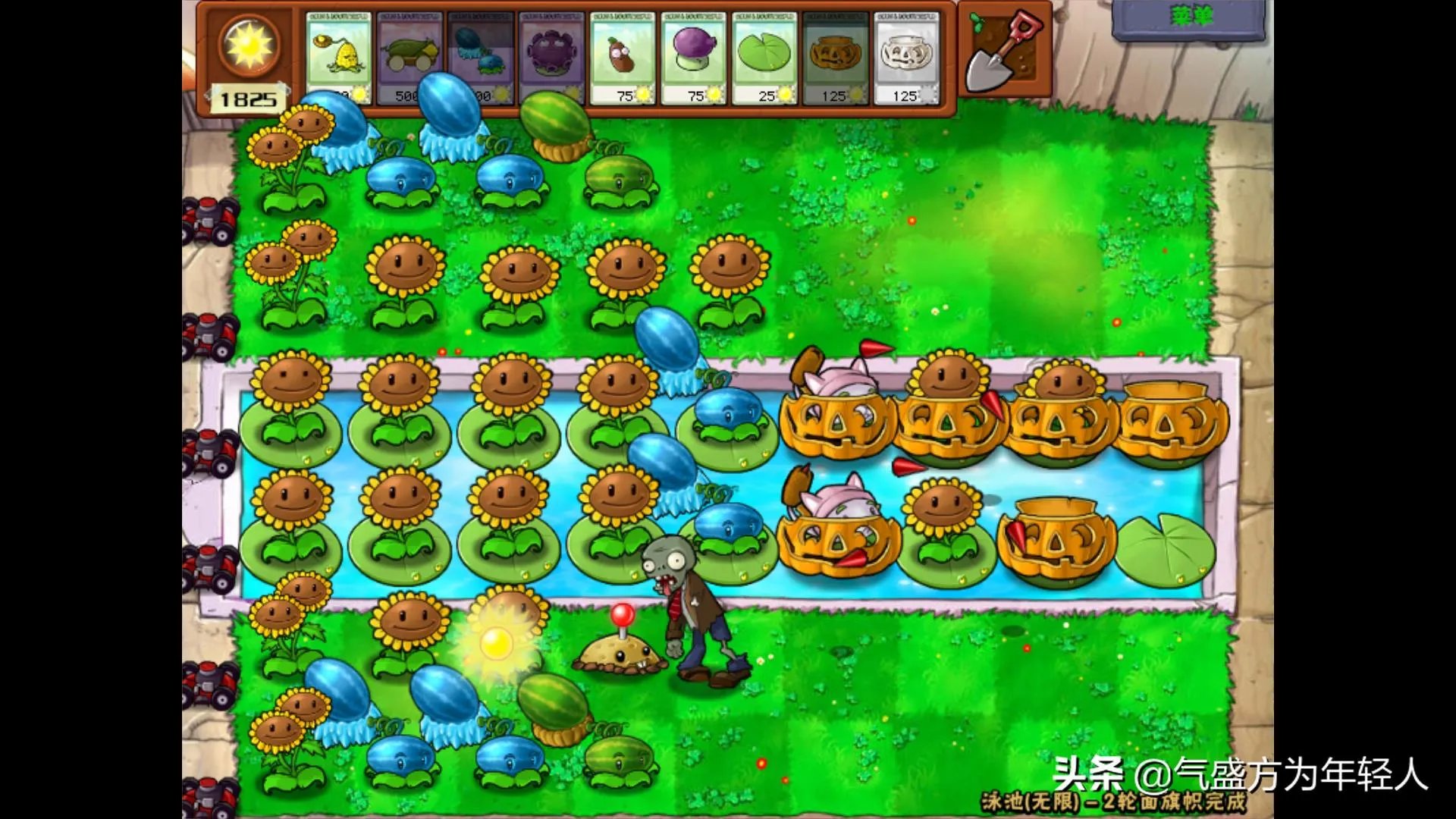 植物大战僵尸攻略大全图解（最佳阵型分析）