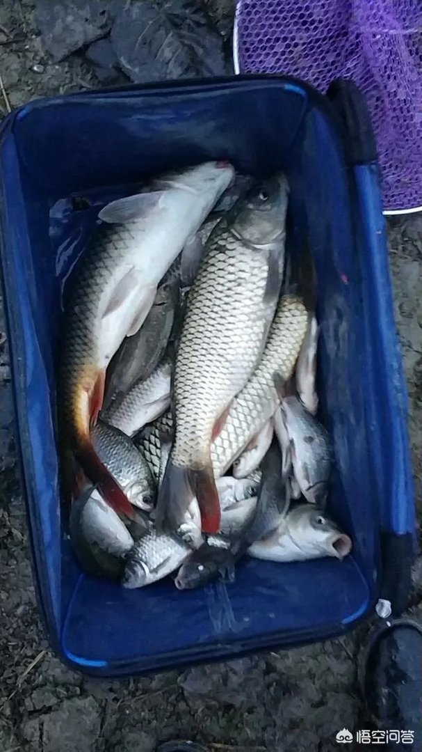 哪里有比较幽静的钓鱼的地方？