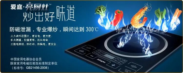 电磁炉哪个牌子好 电磁炉十大排名