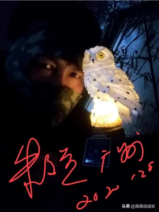 2020年2月2日晚20时20分，你记录了什么？