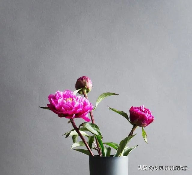 二婚能幸福吗？为什么？