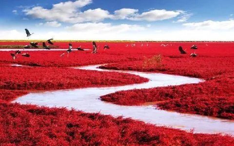 求盘锦旅游景点大全排名，哪些比较推荐？