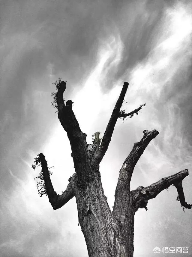 摄影是艺术吗？