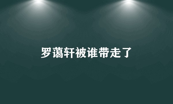 罗蔼轩被谁带走了