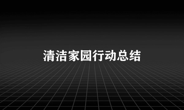 清洁家园行动总结