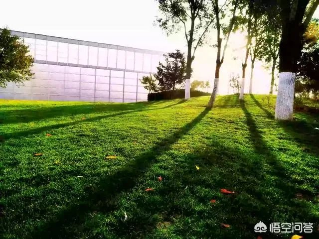 摄影是艺术吗？