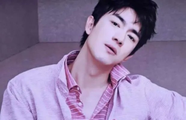 林更新被大姐拦车门要合影什么情况 林更新怎么不火了