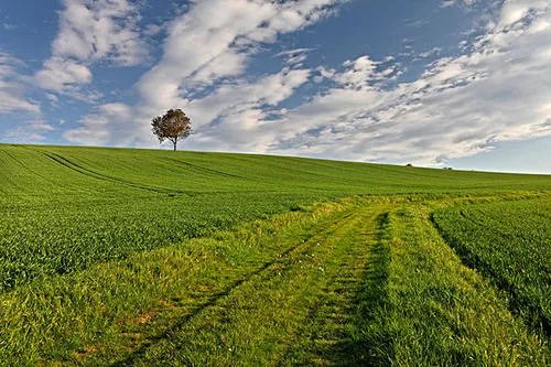 回家的路很短 走了很漫长