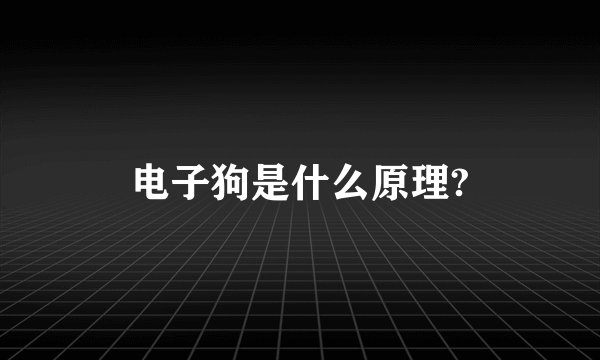 电子狗是什么原理?