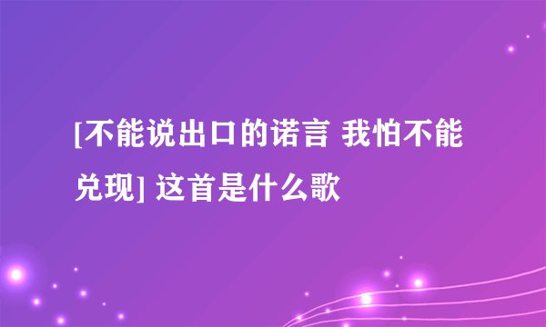 [不能说出口的诺言 我怕不能兑现] 这首是什么歌