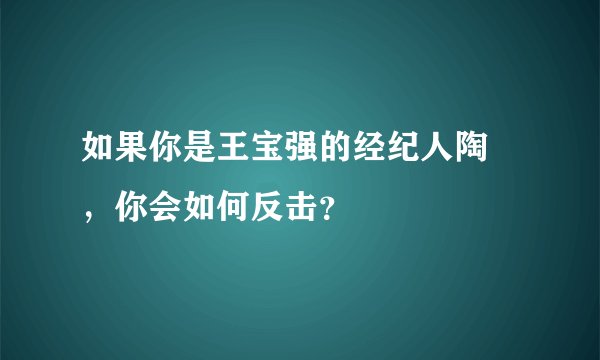 如果你是王宝强的经纪人陶喆，你会如何反击？