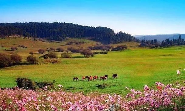 重庆出发3天自驾游攻略求推荐？