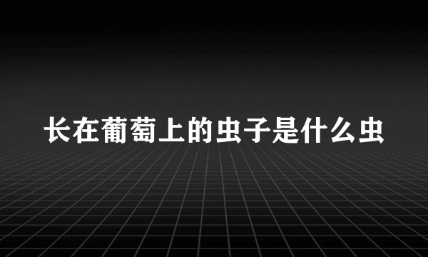 长在葡萄上的虫子是什么虫